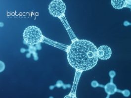 Presidency University Job For