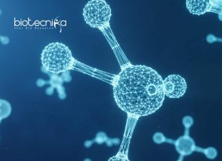 Presidency University Job For Mol Bio & Biotech JRF Vacancy Presidency University Job For