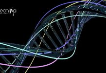 SACON Life Science / Botany & Zoology Officer Recruitment SACON Life Science