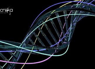 SACON Life Science / Botany & Zoology Officer Recruitment SACON Life Science
