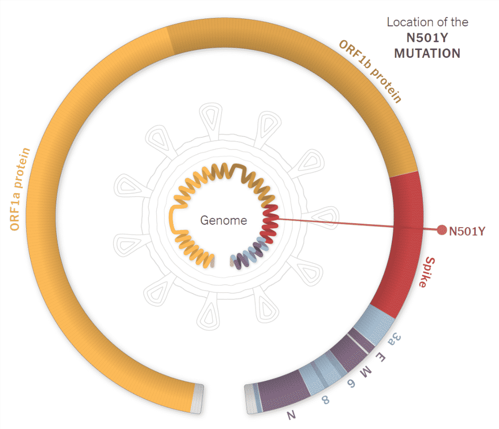 Variants Mutations of SARS-CoV-2