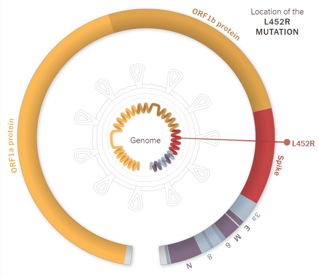 Variants Mutations of SARS-CoV-2