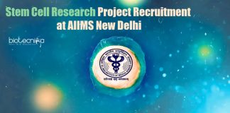 Stem Cell Research Project