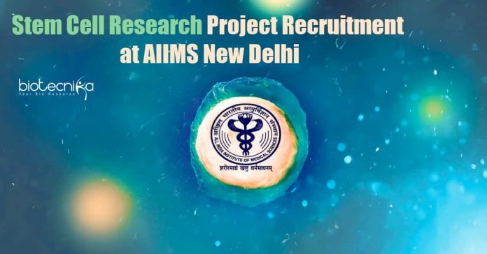 Stem Cell Research Project