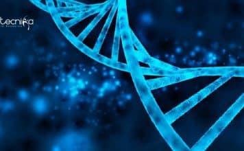 TERI Project Trainee Recruitment For Life Sciences – Apply Online TERI Project Trainee Recruitment