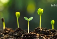 Tezpur University Botany Junior Research Fellow Recruitment Tezpur University Botany