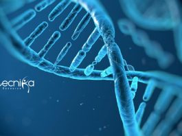 Thermo Fisher Scientific Jobs