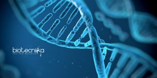 Thermo Fisher Scientific Jobs