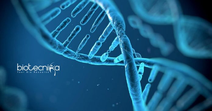 Thermo Fisher Scientific Jobs