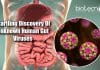 Researchers Discover More Than 140,000 Human Gut Virus Species Unknown Human Gut Viruses
