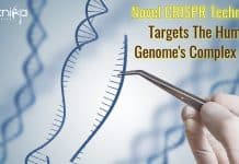 Novel CRISPR Technology Targets The Human Genome’s Complex Code Novel CRISPR technology