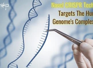 Novel CRISPR Technology Targets The Human Genome’s Complex Code Novel CRISPR technology