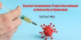 UoH Project Jobs