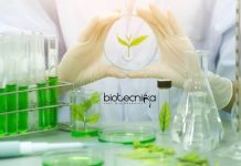 VIT Vellore Research Assistant – Freshers Plant Science & Botany Apply VIT Vellore Research