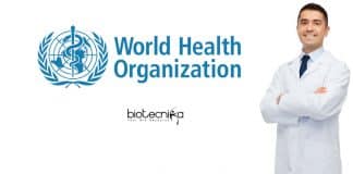 World Health Organization Hiring