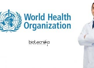 World Health Organization Hiring