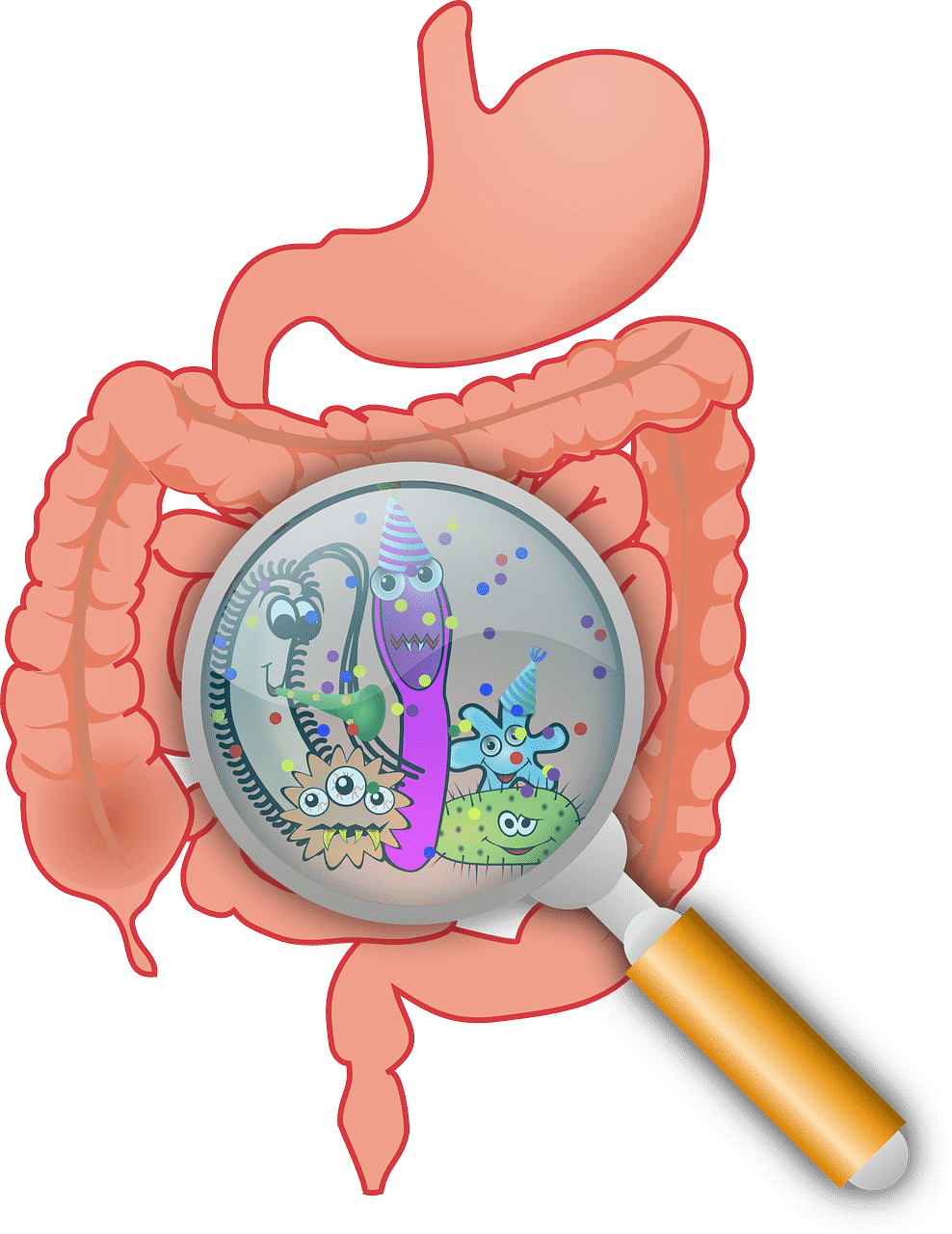 A career as a Bacteriologist