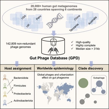 Unknown & New Human Gut Viruses