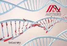ACTREC DNA Damage Repair & Cancer Project Job For Life Sciences ACTREC JRF Vacancy