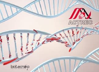 ACTREC DNA Damage Repair & Cancer Project Job For Life Sciences ACTREC JRF Vacancy