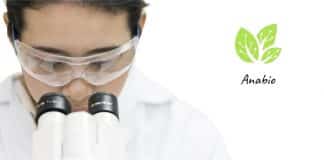 Anabio Technologies Lab Tech