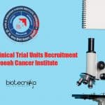 BBCI Jobs