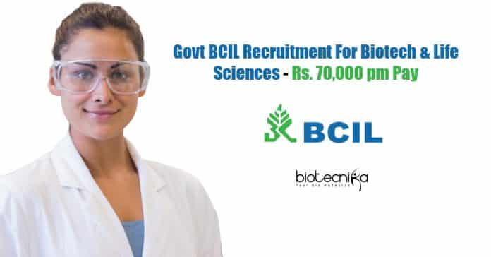 BCIL Recruitment