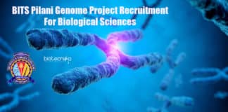 BITS Pilani Jobs For