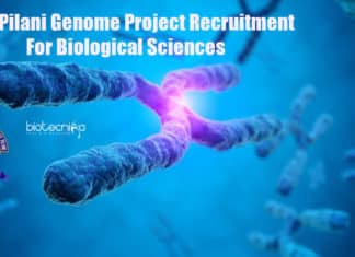 BITS Pilani Jobs For