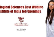 Biological Sciences Govt Wildlife Institute of India Job Openings Biological Sciences