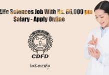 CDFD Life Sciences Job With Rs. 66,000 pm Salary – Apply Online CDFD Life Sciences Job