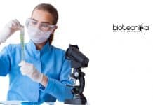 Central University of Haryana Research Fellow Job – Applications Invited CUH Research Fellow Job