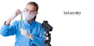 CUH Research Fellow Job