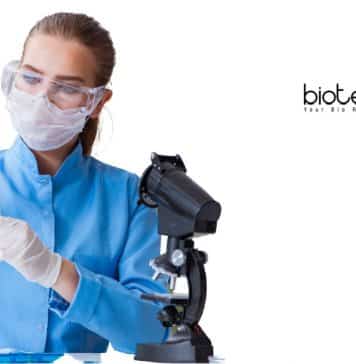 Central University of Haryana Research Fellow Job – Applications Invited CUH Research Fellow Job