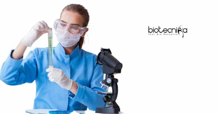 CUH Research Fellow Job