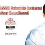 DSSSB Jobs