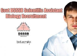 DSSSB Jobs