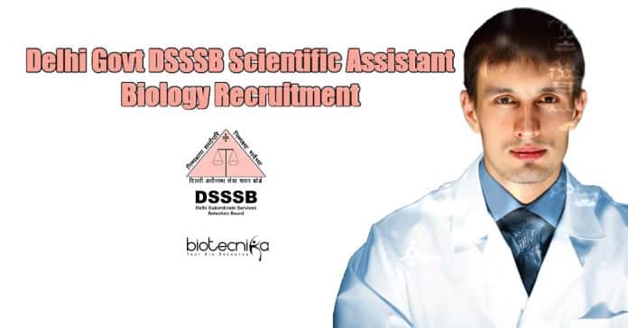 DSSSB Jobs