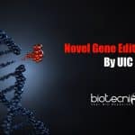 Novel gene-editing tool