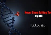 UIC Researchers Invent New Gene-editing Tool Novel gene-editing tool