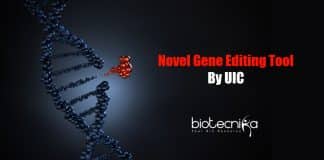 Novel gene-editing tool