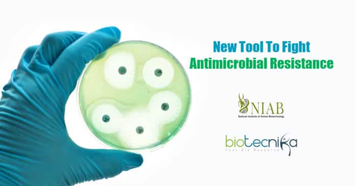 Fighting antimicrobial resistance