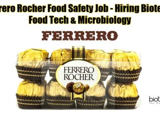 Ferrero Rocher India Job