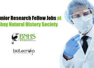 Govt Junior Research Fellow