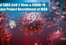 Govt SARS-CoV-2 Virus & COVID-19 Disease Project Recruitment at IBSD IBSD Jobs