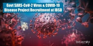 IBSD Jobs