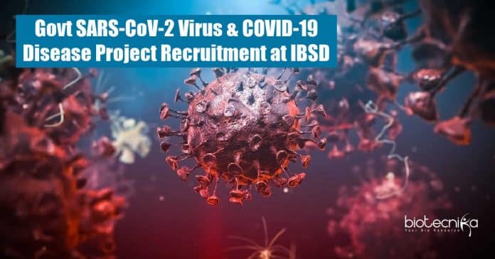 IBSD Jobs