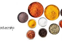 ICAR-IISR Senior Research Fellow Job – Applications Invited ICAR-IISR Senior Research Fellow