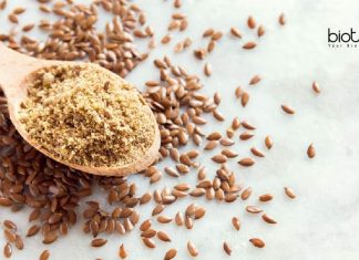 ICAR-NBPGR Life Science Project Assistant Job Opening ICAR-NBPGR Recruitment