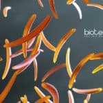 ICMR-NIRTH Life Science Project